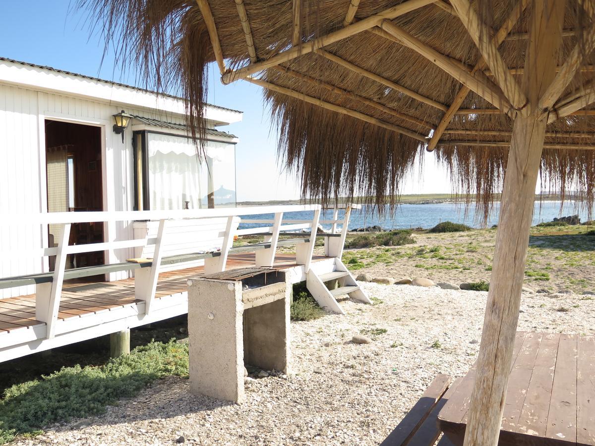 Refugio Humboldt Villa Punta de Choros Ngoại thất bức ảnh