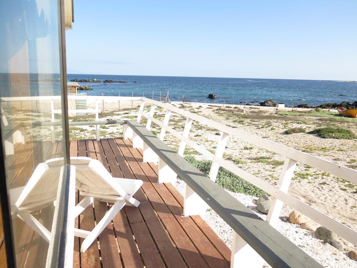 Refugio Humboldt Villa Punta de Choros Ngoại thất bức ảnh