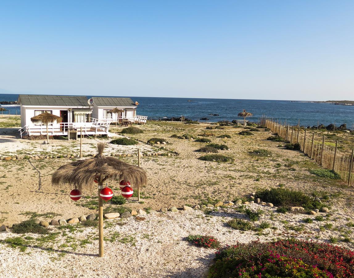 Refugio Humboldt Villa Punta de Choros Ngoại thất bức ảnh
